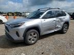 TOYOTA RAV4 2025