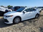 TOYOTA CAMRY 2023