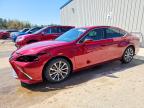 LEXUS ES 2020