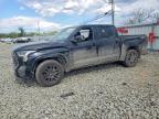 TOYOTA TUNDRA 2024