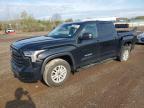 TOYOTA TUNDRA 2024
