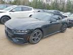 FORD MUSTANG 2024