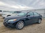 TOYOTA CAMRY 2009