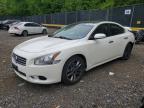 NISSAN MAXIMA 2010