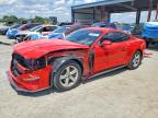 FORD MUSTANG 2021