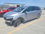 HONDA ODYSSEY 2022