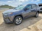 TOYOTA RAV4 2024