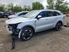 KIA SORENTO 2025