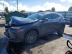 LEXUS NX 2023