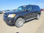 TOYOTA SEQUOIA 2006