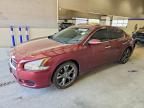NISSAN MAXIMA 2013