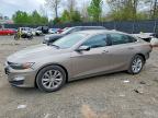 CHEVROLET MALIBU 2024
