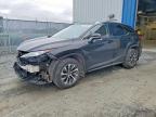 LEXUS RX 2022