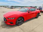 FORD MUSTANG 2024