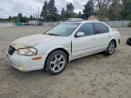 NISSAN MAXIMA 2001