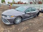 TOYOTA CAMRY 2023