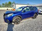 SUBARU FORESTER 2024