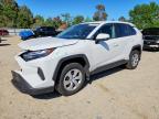 TOYOTA RAV4 2025