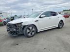 KIA OPTIMA 2013