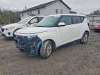 KIA SOUL 2024