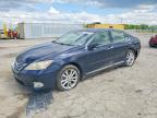 LEXUS ES 2010