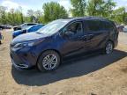 TOYOTA SIENNA 2024