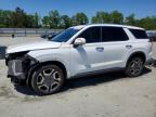 HYUNDAI PALISADE 2024