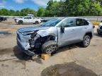TOYOTA RAV4 2025