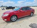 LEXUS ES 2010