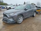 TOYOTA RAV4 2021
