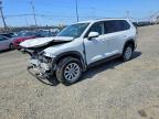 TOYOTA GRAND HIGHLANDER 2024