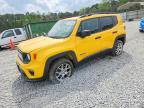 JEEP RENEGADE 2019