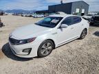 KIA OPTIMA 2014