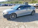 SCION TC 2013