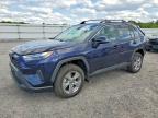 TOYOTA RAV4 2024