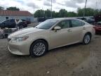 LEXUS ES 2015
