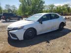 TOYOTA CAMRY 2023