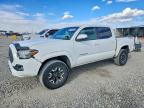 TOYOTA TACOMA 2021