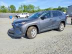 TOYOTA RAV4 2024