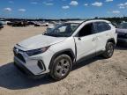 TOYOTA RAV4 2024