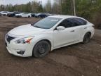 NISSAN ALTIMA 2013
