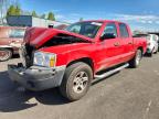 DODGE DAKOTA 2005