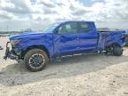 TOYOTA TACOMA 2024