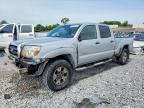 TOYOTA TACOMA 2006