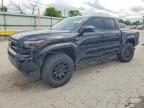 TOYOTA TACOMA 2024