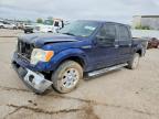 FORD F-150 2010