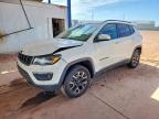 JEEP COMPASS 2019
