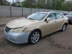 LEXUS ES 2007