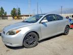 SCION TC 2007
