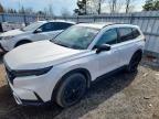HONDA CR-V 2025
